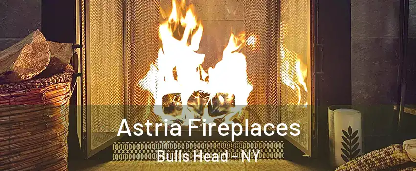Astria Fireplaces Bulls Head - NY