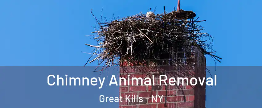 Chimney Animal Removal Great Kills - NY