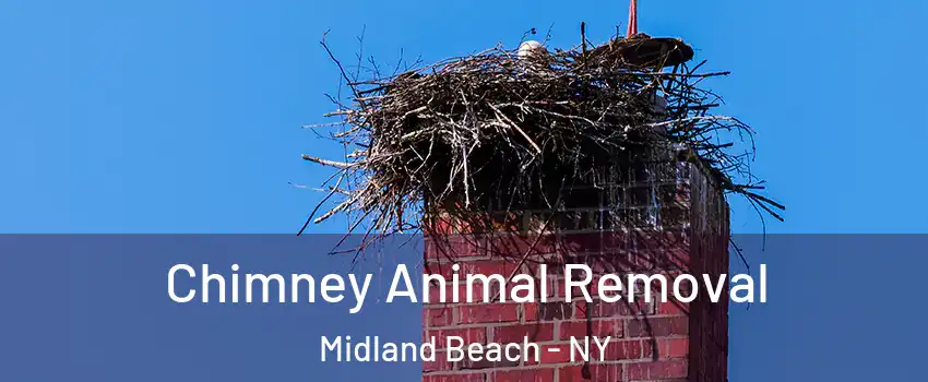 Chimney Animal Removal Midland Beach - NY