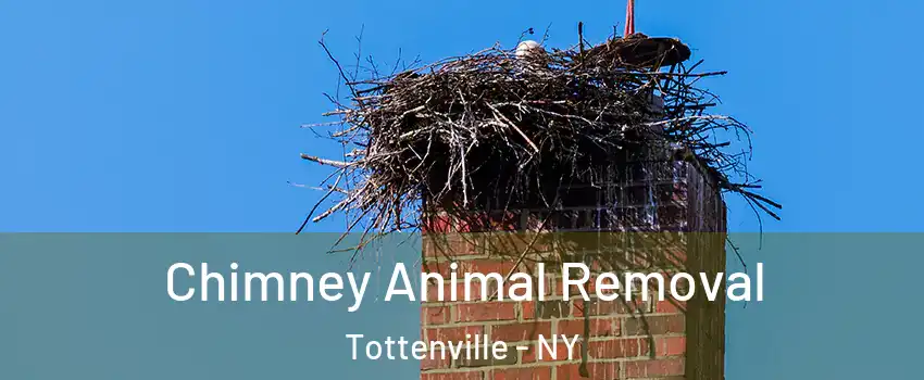 Chimney Animal Removal Tottenville - NY