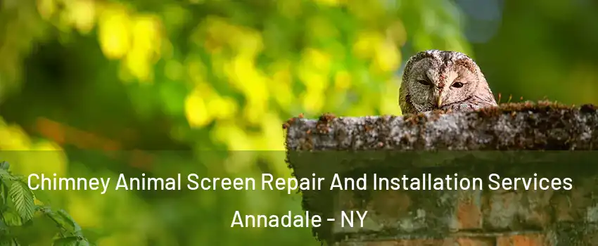 Chimney Animal Screen Repair And Installation Services Annadale - NY