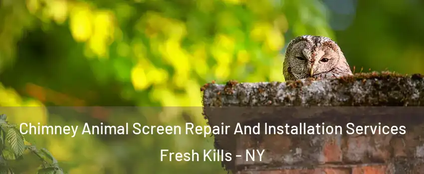 Chimney Animal Screen Repair And Installation Services Fresh Kills - NY