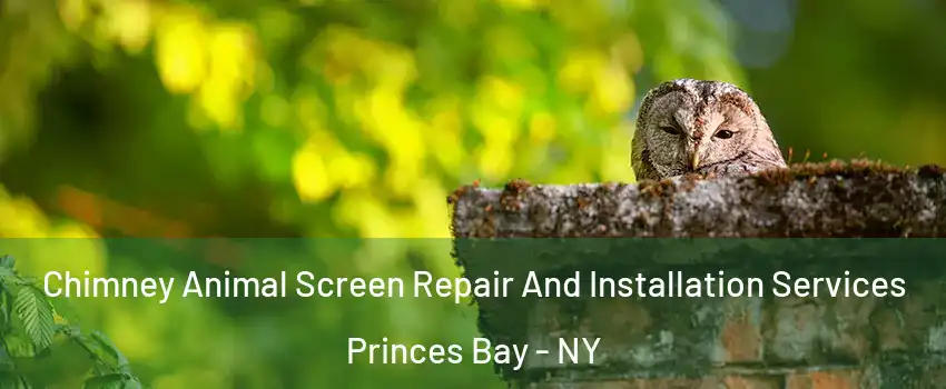 Chimney Animal Screen Repair And Installation Services Princes Bay - NY