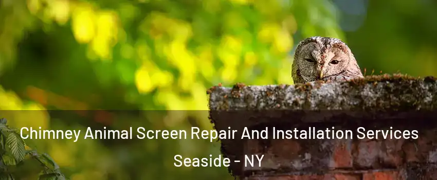 Chimney Animal Screen Repair And Installation Services Seaside - NY