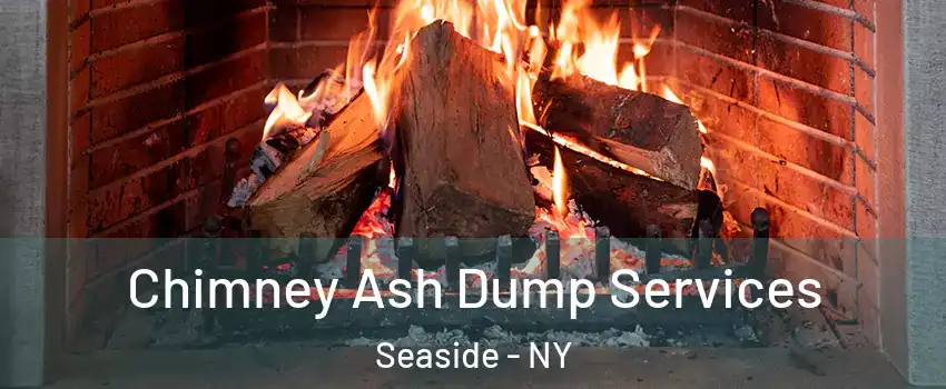 Chimney Ash Dump Services Seaside - NY