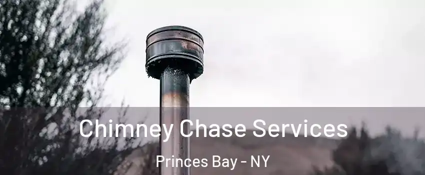 Chimney Chase Services Princes Bay - NY