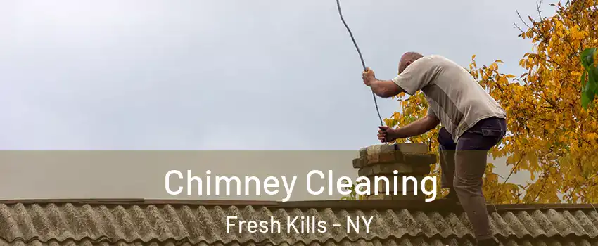 Chimney Cleaning Fresh Kills - NY