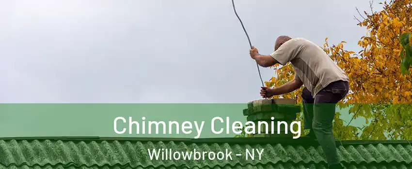 Chimney Cleaning Willowbrook - NY