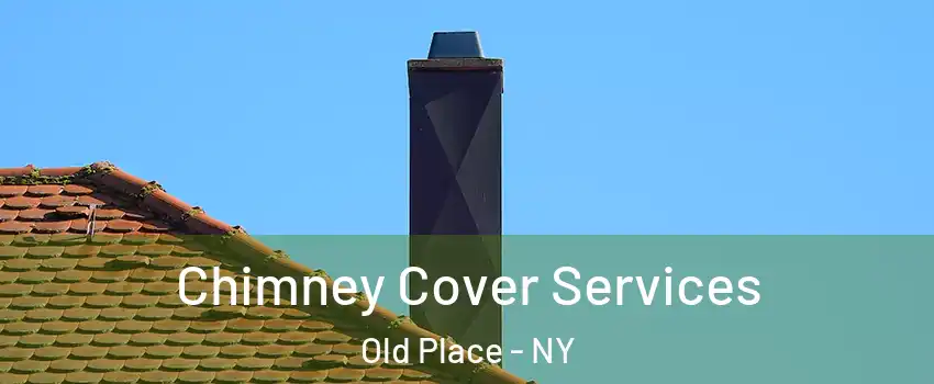 Chimney Cover Services Old Place - NY
