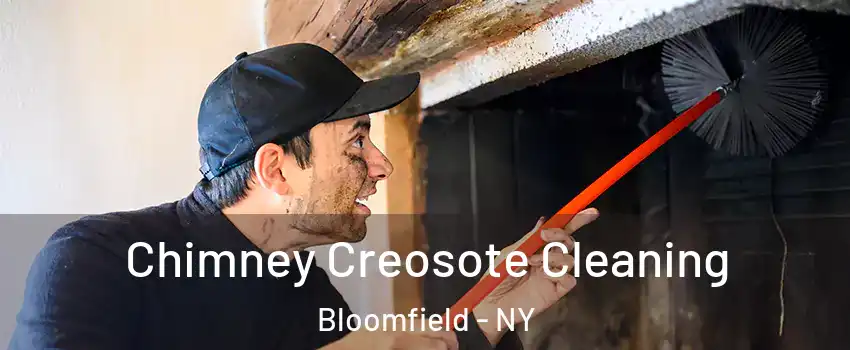 Chimney Creosote Cleaning Bloomfield - NY