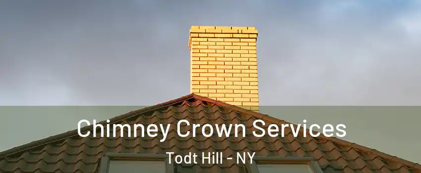 Chimney Crown Services Todt Hill - NY
