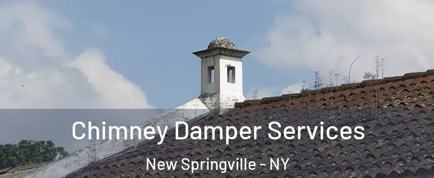 Chimney Damper Services New Springville - NY