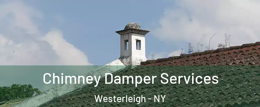 Chimney Damper Services Westerleigh - NY