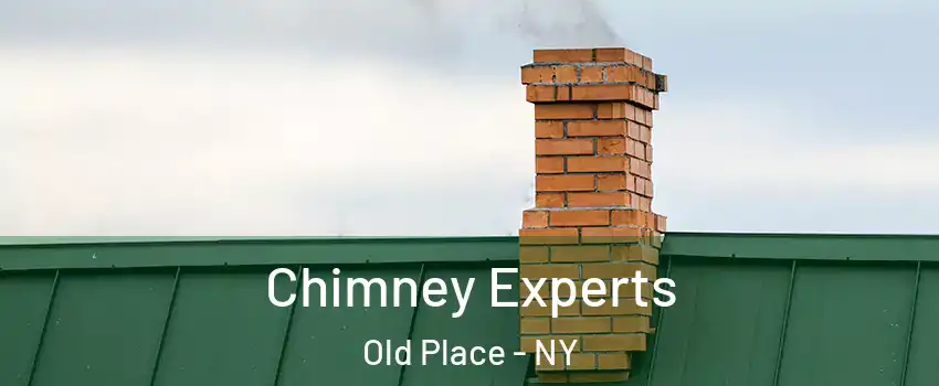 Chimney Experts Old Place - NY