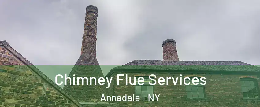 Chimney Flue Services Annadale - NY