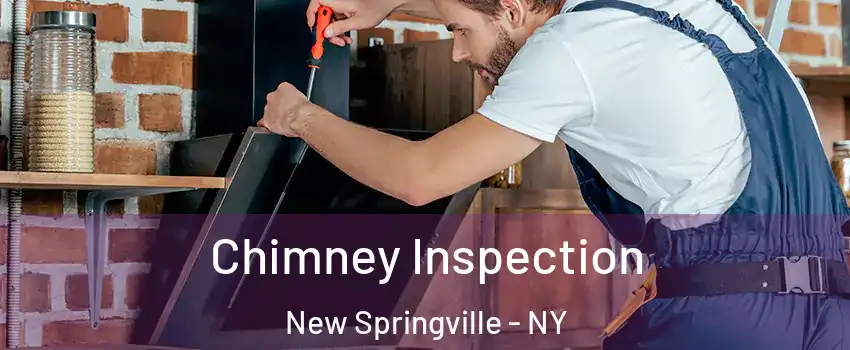 Chimney Inspection New Springville - NY