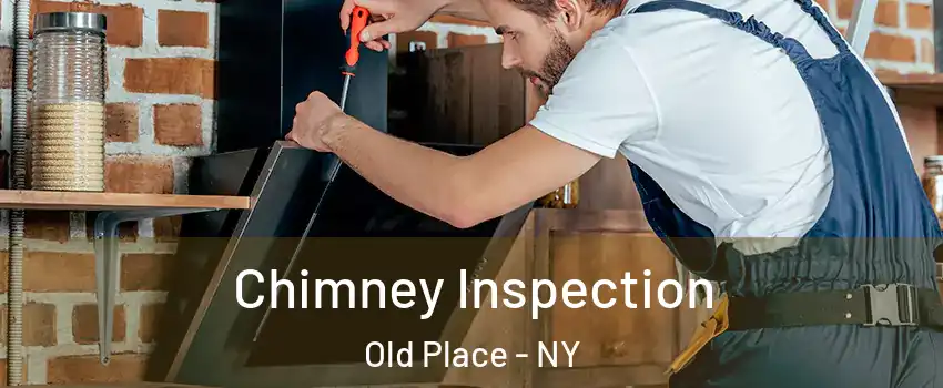Chimney Inspection Old Place - NY