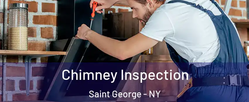 Chimney Inspection Saint George - NY