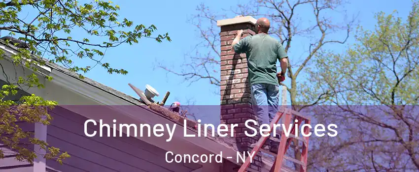Chimney Liner Services Concord - NY