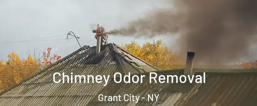 Chimney Odor Removal Grant City - NY