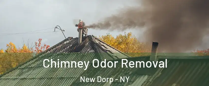 Chimney Odor Removal New Dorp - NY