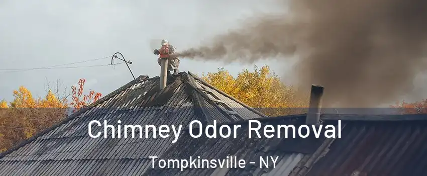 Chimney Odor Removal Tompkinsville - NY