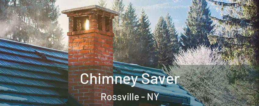 Chimney Saver Rossville - NY