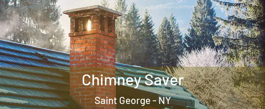 Chimney Saver Saint George - NY