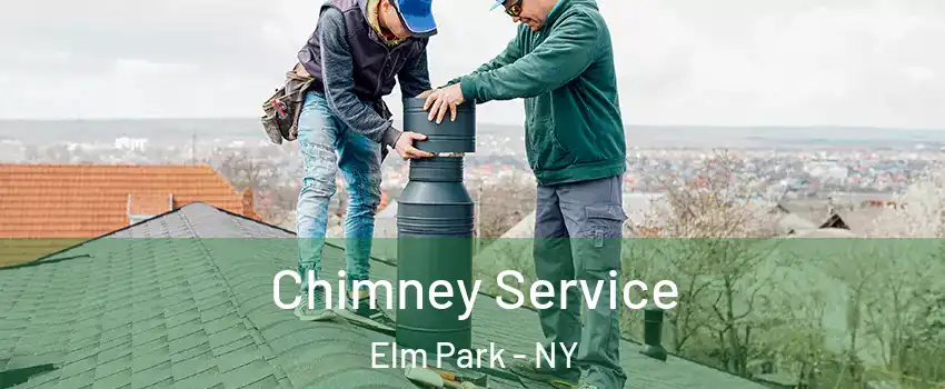 Chimney Service Elm Park - NY