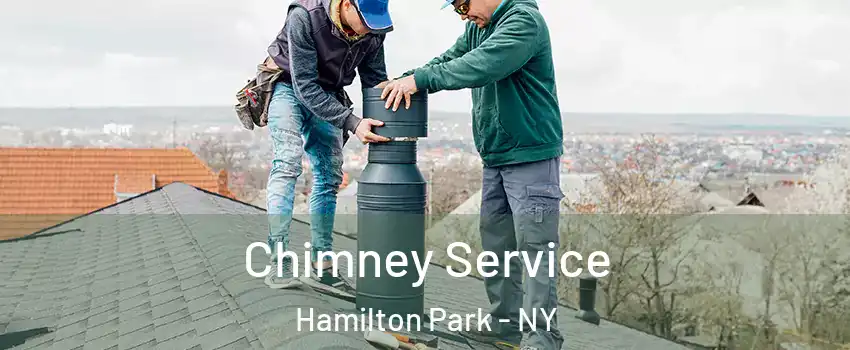 Chimney Service Hamilton Park - NY