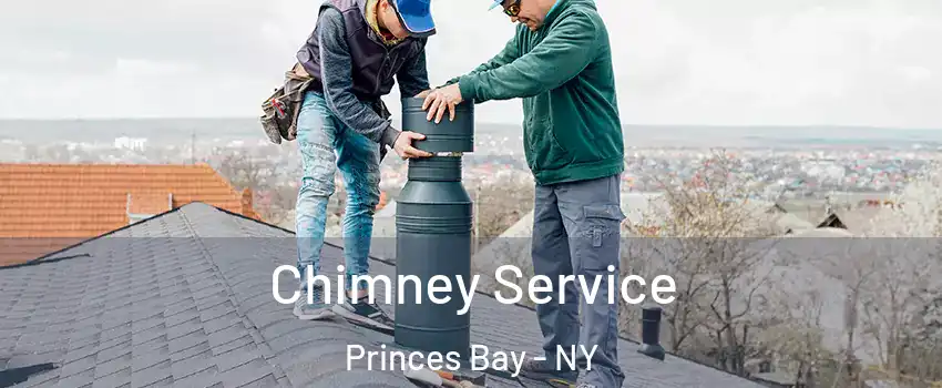 Chimney Service Princes Bay - NY