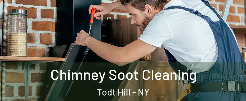 Chimney Soot Cleaning Todt Hill - NY