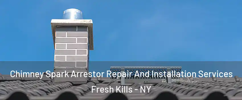 Chimney Spark Arrestor Repair And Installation Services Fresh Kills - NY