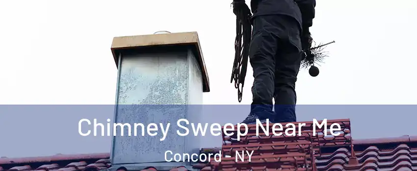 Chimney Sweep Near Me Concord - NY