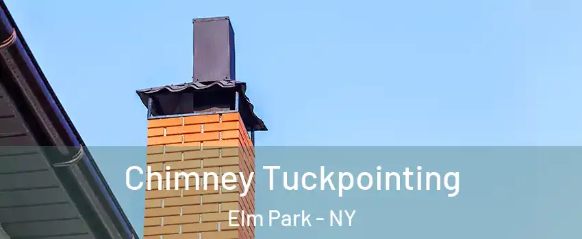 Chimney Tuckpointing Elm Park - NY