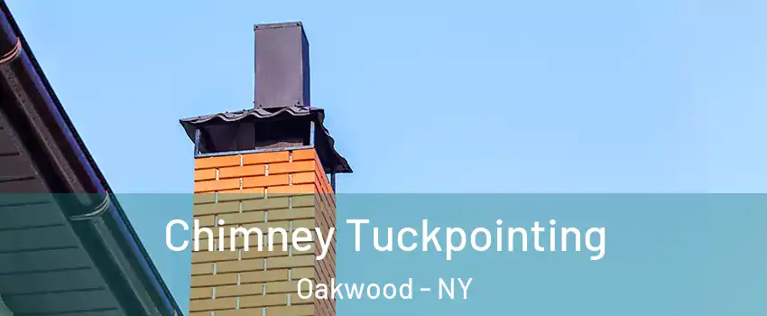Chimney Tuckpointing Oakwood - NY