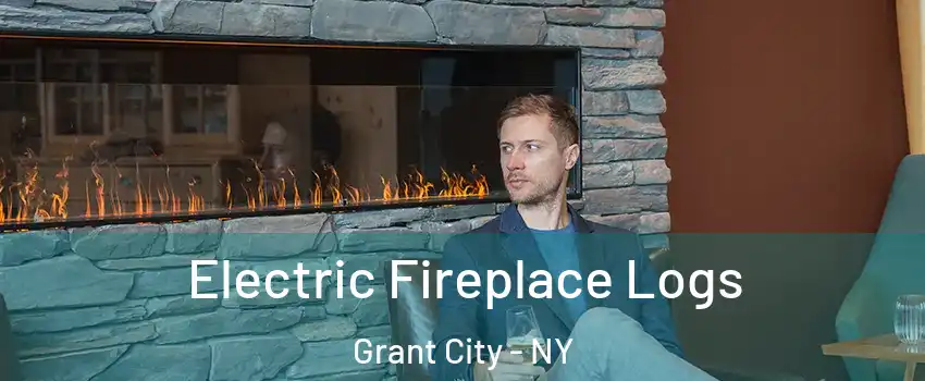 Electric Fireplace Logs Grant City - NY