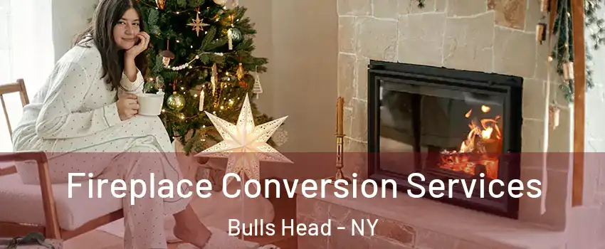 Fireplace Conversion Services Bulls Head - NY