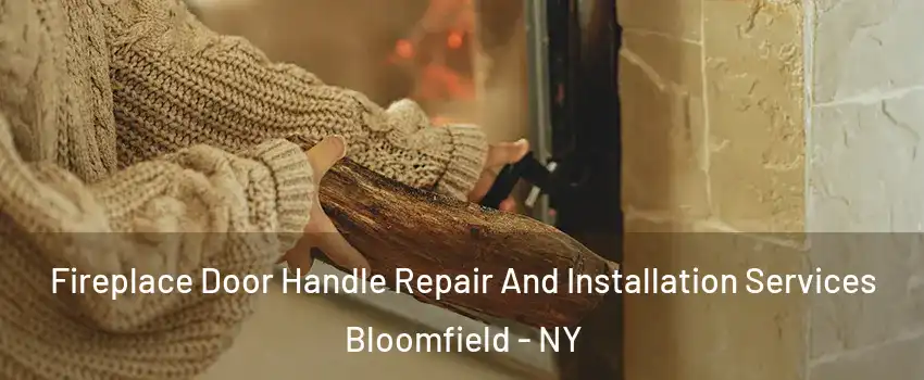 Fireplace Door Handle Repair And Installation Services Bloomfield - NY