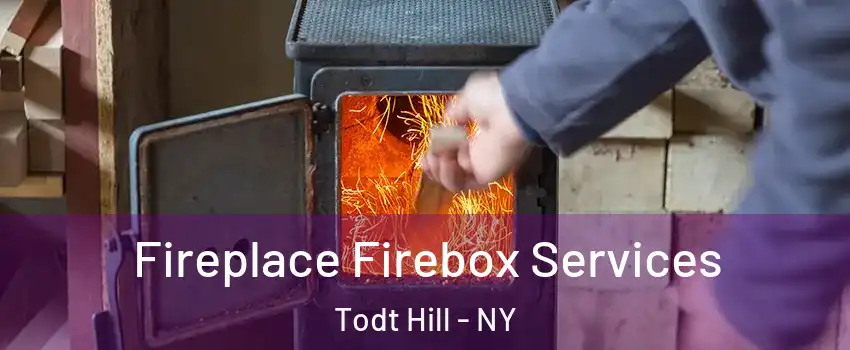 Fireplace Firebox Services Todt Hill - NY