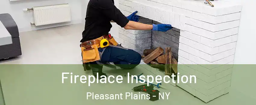 Fireplace Inspection Pleasant Plains - NY