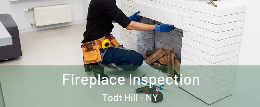 Fireplace Inspection Todt Hill - NY