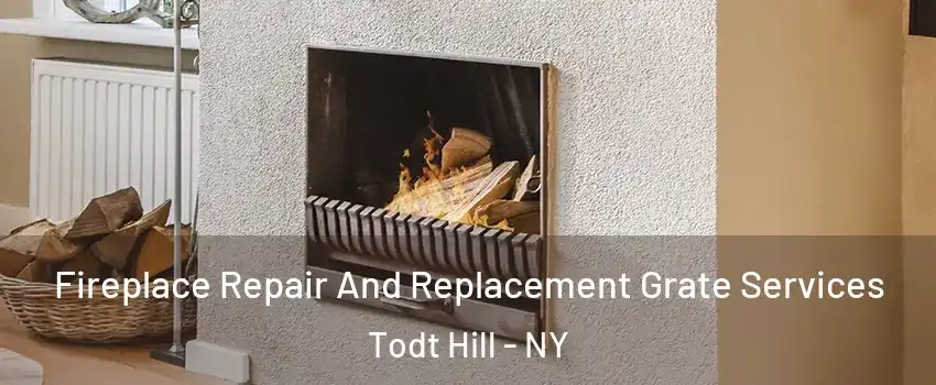 Fireplace Repair And Replacement Grate Services Todt Hill - NY