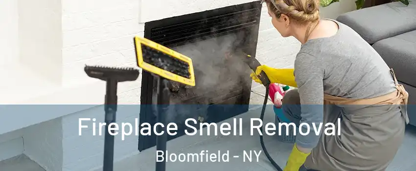 Fireplace Smell Removal Bloomfield - NY