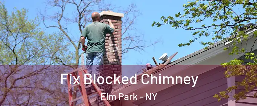 Fix Blocked Chimney Elm Park - NY