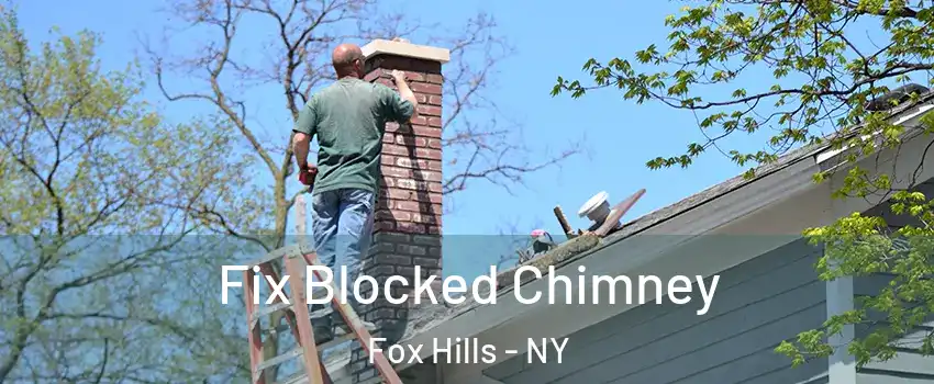 Fix Blocked Chimney Fox Hills - NY