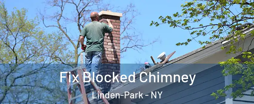 Fix Blocked Chimney Linden-Park - NY