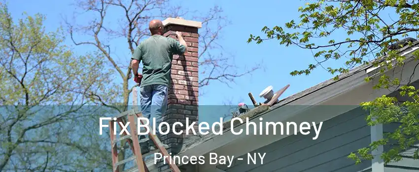 Fix Blocked Chimney Princes Bay - NY