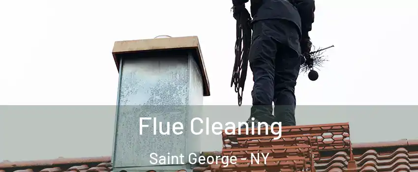 Flue Cleaning Saint George - NY