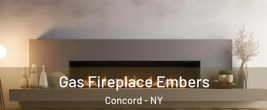Gas Fireplace Embers Concord - NY
